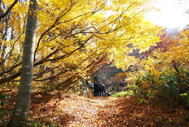独鈷茶屋跡の写真