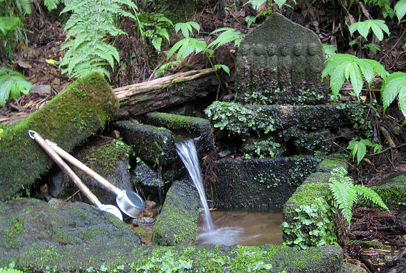 イタヤ清水の写真