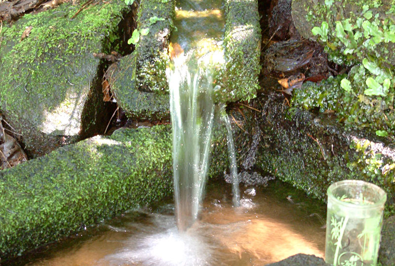 イタヤ清水の写真