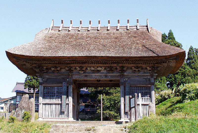 皇壇ノ杉の写真