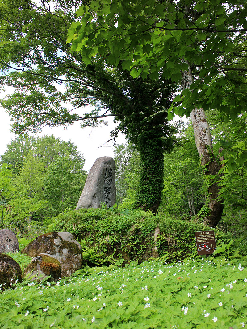 湯殿山碑の写真
