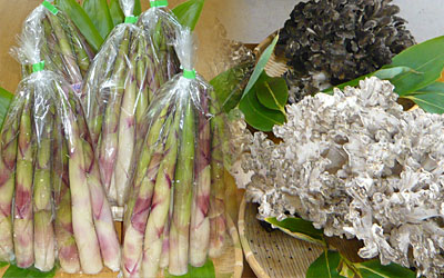 湯殿山直売所画像