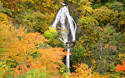 七ツ滝（紅葉）画像