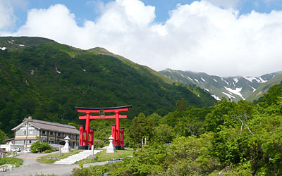 湯殿山神社（新緑）画像